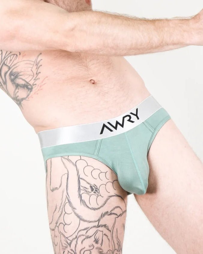 AWRY - Briefs - 12018 - TEAL10 - S