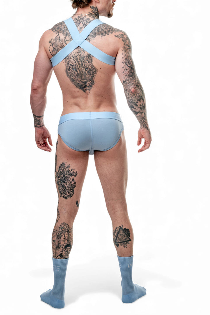 TASTE - Briefs & Harness Set - 