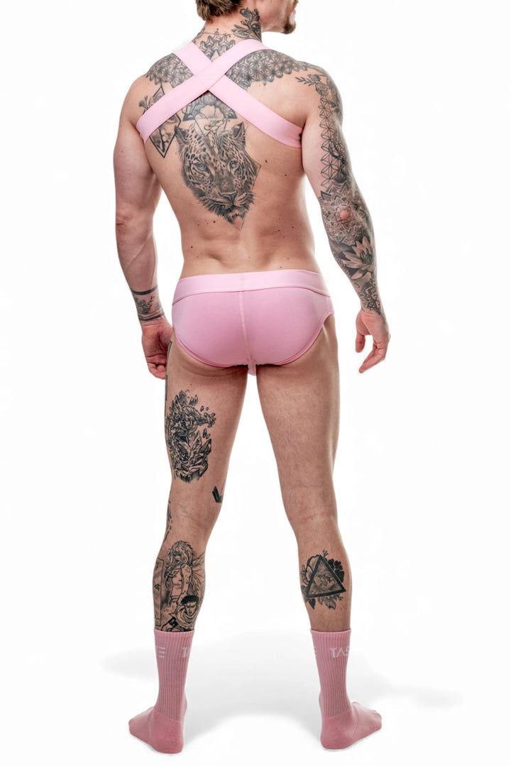 TASTE - Briefs & Harness Set - 