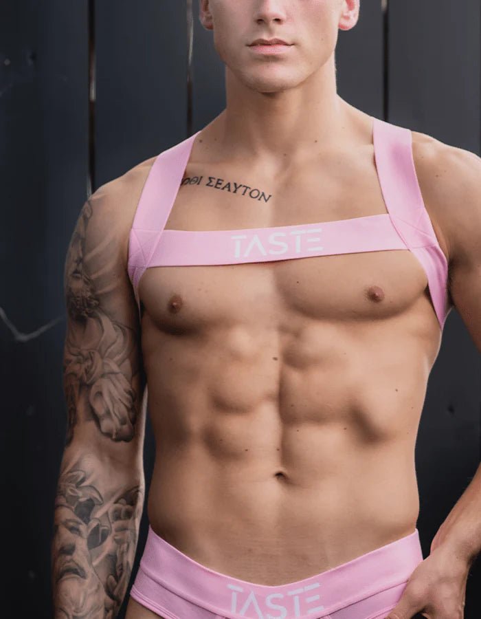 TASTE | Candy Pink Briefs, Harness & Socks Set