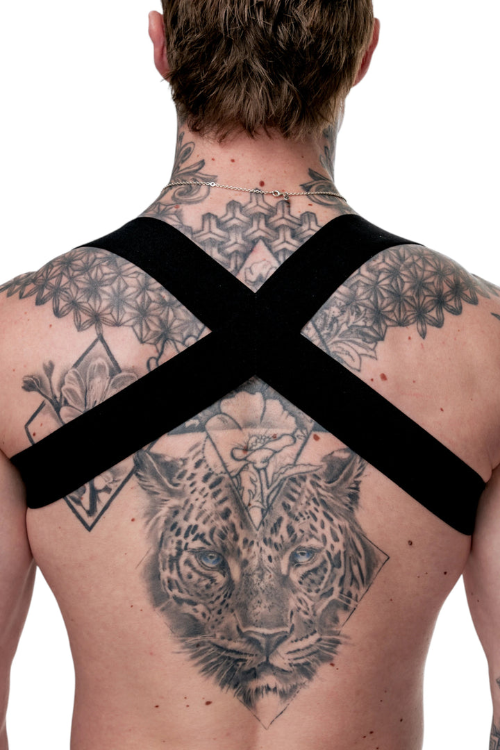 TASTE - Harness - TASTE-HARNESS-B-XS