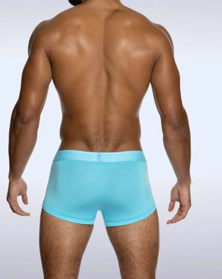 Garcon Model | Baby Blue Bamboo Trunks